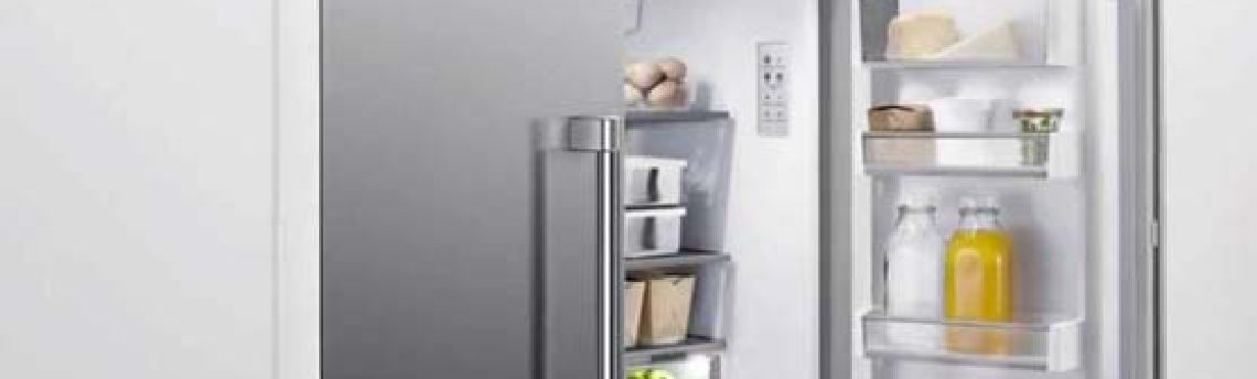 Fisher Paykel refrigerator sabbath mode